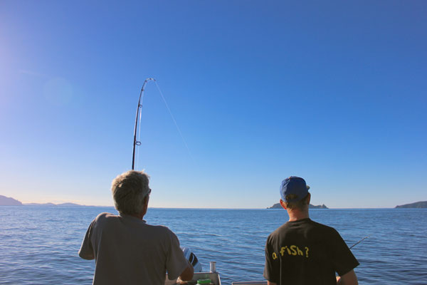 Fishing charters from Mangawhai - north of Auckland - to the Hen and Chicks with Fishmeister; a great fishing spot for snapper